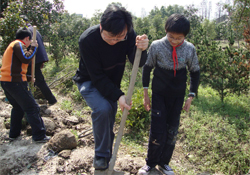 植樹節(jié)怎樣種樹？植樹節(jié)種植的方法及步驟