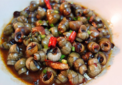 螺螄可以放冰箱保存嗎？新鮮螺螄能放冰箱嗎？