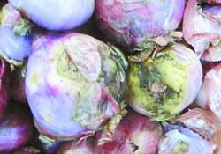 洋蔥心爛了能吃嗎？洋蔥中間爛了可以吃嗎？