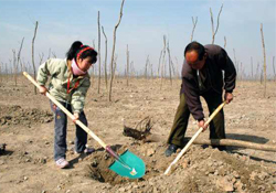 植樹節(jié)種樹要注意什么？植樹要注意哪些細節(jié)？