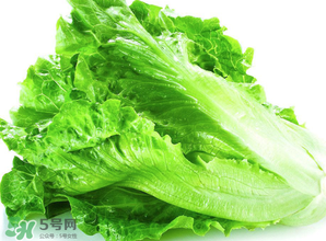 春天能種生菜嗎？生菜春天可以種嗎？