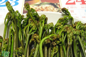 蕨菜為什么苦？蕨菜苦是怎么回事？