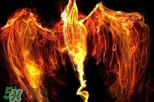 寒食節(jié)可以用火嗎？寒食節(jié)可以燒火嗎？