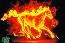 寒食節(jié)可以用火嗎？寒食節(jié)可以燒火嗎？