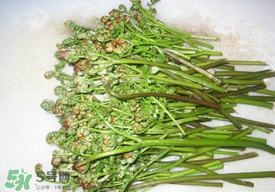 蕨菜怎么去苦味？蕨菜怎么做不苦？