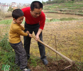 春天可以種哪些果樹(shù)？春天適合種哪些果樹(shù)？