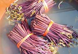 蕨菜不能和什么一起吃？蕨菜和什么不能一起吃？