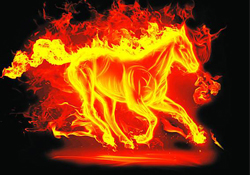 寒食節(jié)可以用火嗎？寒食節(jié)可以燒火嗎？