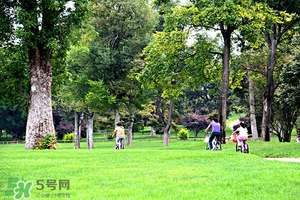 戶(hù)外活動(dòng)注意事項(xiàng) 野外露營(yíng)注意事項(xiàng) 