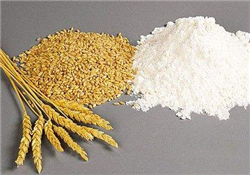 麥麩的功效與作用 麥麩是什么