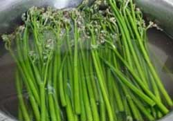 蕨菜怎么洗？蕨菜怎么清洗才干凈？