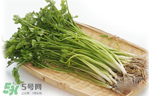 吃野芹菜會(huì)中毒嗎？吃野芹菜中毒了怎么辦？