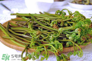 蕨菜怎么洗？蕨菜怎么清洗才干凈？