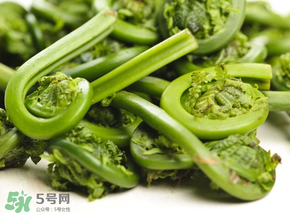 蕨菜怎么洗？蕨菜怎么清洗才干凈？