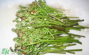 蕨菜怎么保存？蕨菜怎么保鮮？