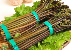 蕨菜怎么保存？蕨菜怎么保鮮？