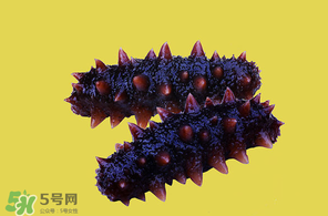 春天能吃海參嗎？春天吃海參效果好嗎？