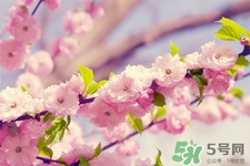 春天容易得水痘嗎？春天是水痘的高發(fā)季節(jié)嗎？