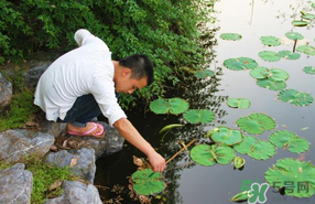 四月份可以釣黃鱔嗎？4月份可以釣黃鱔嗎？