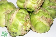 芥菜頭的營(yíng)養(yǎng)價(jià)值 芥菜頭的功效與作用 芥菜頭的營(yíng)養(yǎng)價(jià)值 芥菜頭的功效與作用