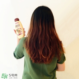 淳萃牛油果洗發(fā)水多少錢？淳萃牛油果洗發(fā)水價格