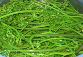 蕨菜怎么洗？蕨菜怎么清洗才干凈？