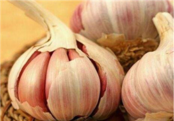 大蒜有種子嗎？大蒜的種子是什么？