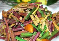 蕨菜怎么處理？新鮮蕨菜怎么處理？