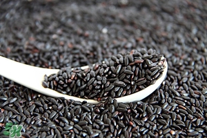 養(yǎng)腎的食物 養(yǎng)腎的食物有哪些 養(yǎng)腎的食物 養(yǎng)腎的食物有哪些