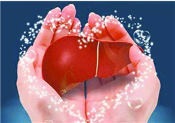 養(yǎng)肝護肝的食物 養(yǎng)肝的食物有哪些？