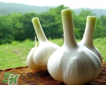 吃大蒜有什么好處？大蒜有什么功效？