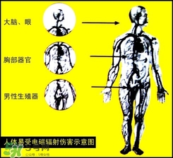 防輻射服什么時候開始穿？防輻射服真的有用嗎？
