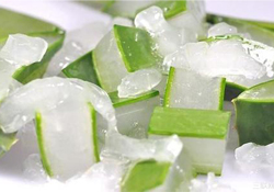 出水痘能用蘆薈膠嗎？水痘破了能擦蘆薈膠嗎？