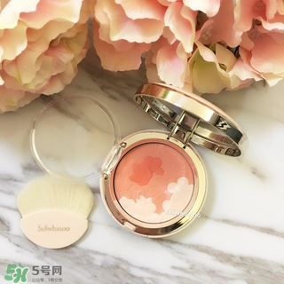 雪花秀花瓣腮紅多少錢？雪花秀花瓣腮紅專柜價格