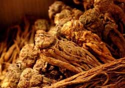 春天可以吃當(dāng)歸嗎？春天吃當(dāng)歸上火嗎？