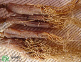 春天能吃紅參嗎？春天可以吃紅參嗎？