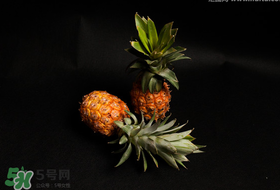 春天可以吃菠蘿嗎？春天吃菠蘿有什么好處？