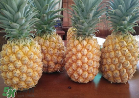 春天可以吃菠蘿嗎？春天吃菠蘿有什么好處？