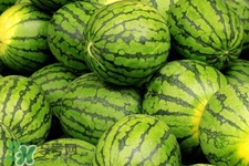 4月份可以吃西瓜嗎？四月份的西瓜可以吃嗎？