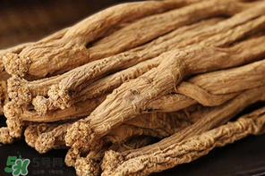 春天能吃黨參嗎？黨參什么人不能吃？