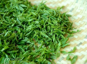 清明茶什么時(shí)候采？采清明茶什么時(shí)候結(jié)束？