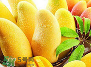 什么人不能吃芒果？哪些人不能吃芒果？