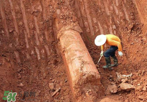 清明節(jié)遷墳好不好？2017年清明節(jié)哪天適合遷墳？