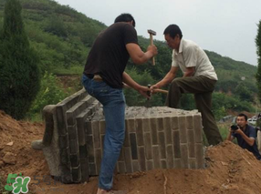 清明節(jié)遷墳好不好？2017年清明節(jié)哪天適合遷墳？