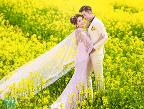 四月份還有油菜花嗎？4月份還有油菜花嗎？