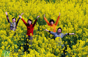 四月份還有油菜花嗎？4月份還有油菜花嗎？