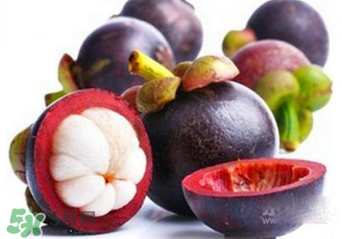 山竹可以放冰箱嗎？山竹冰箱可以放幾天？