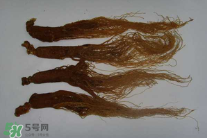 紅參可以天天吃嗎？紅參的功效與作用