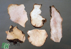 吃茯苓有什么好處？吃茯苓的禁忌