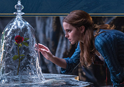 阿芙美女與野獸合作款有哪些？阿芙美女與野獸護膚品價格